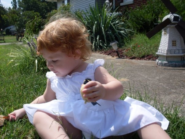 Joyce Kessler's album, Grandbabies and Great Grandbabies