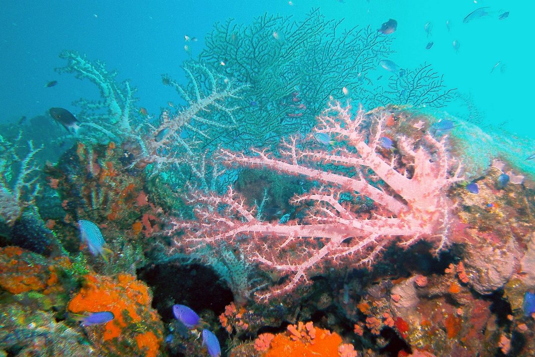 John Emma's album, Untitled Album