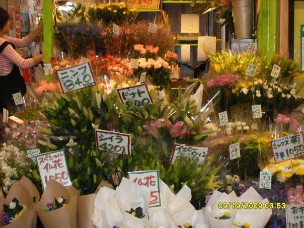 Sandy Adamski's album, Japan Fall 2009