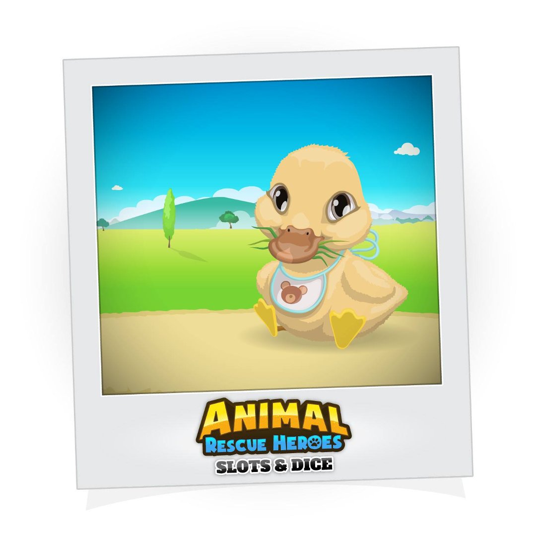 Shawn Fleeman's album, Animal Rescue Heroes: Slots&Dice Photos