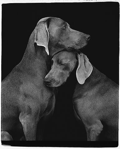 Diane Hackett's album, Timeline Photos