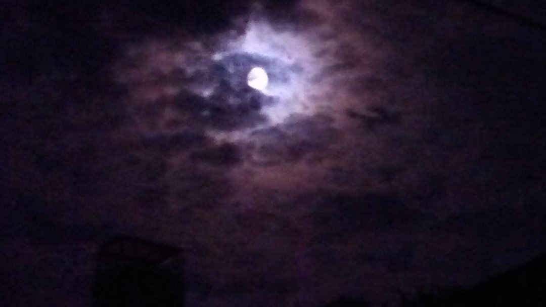 Robin Freitas' album, Mobile Uploads