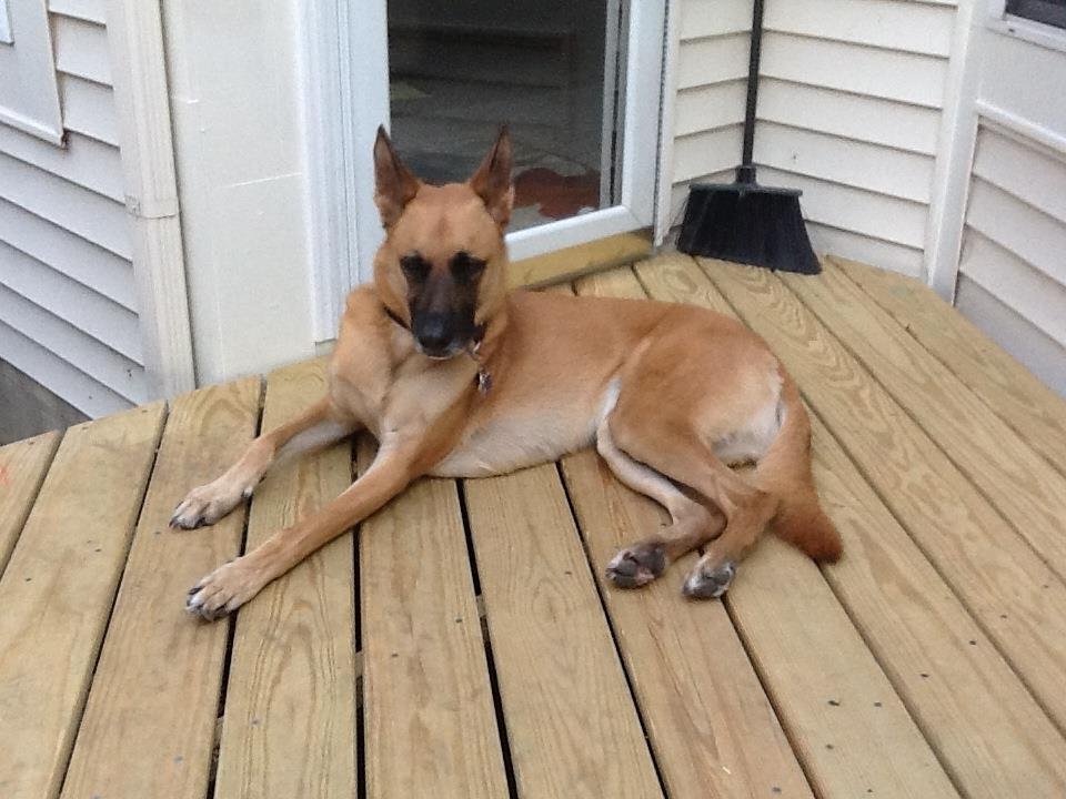 Patty Lowe's album, Mobile Uploads