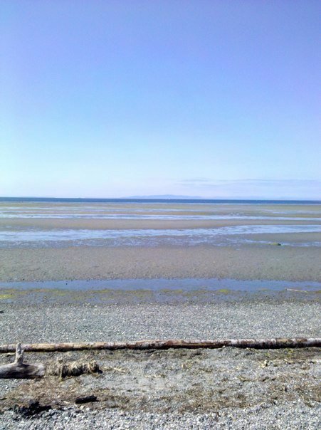 Mark Tilley's album, Jul 8, 2011