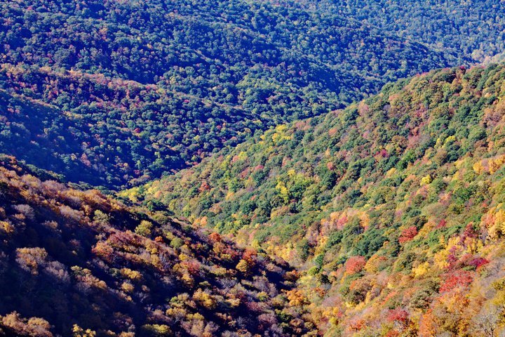 John Turner's album, 2010-10 Blue Ridge Pkwy
