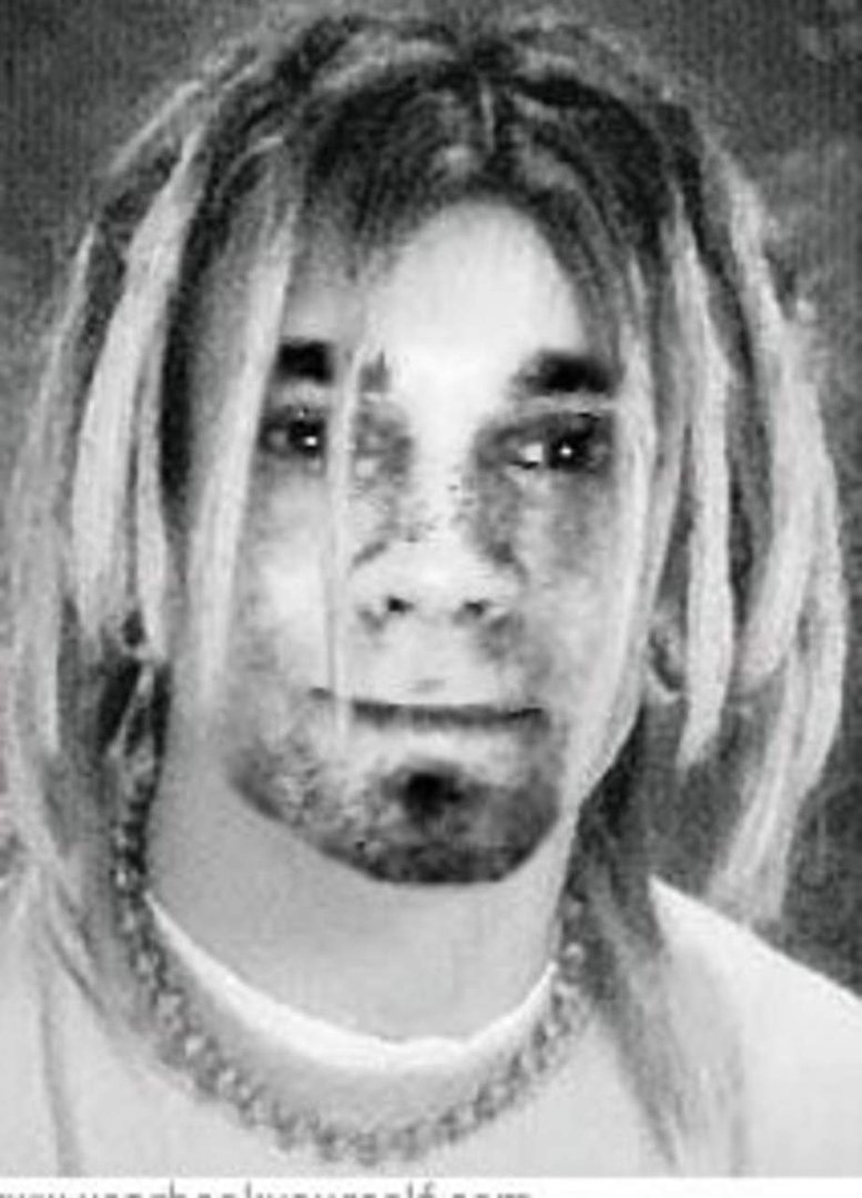 Robert Nemitz's album, Profile Pictures