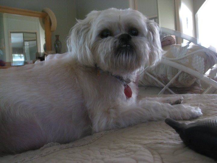 Mary(Toni) Solomito's album, Profile Pictures