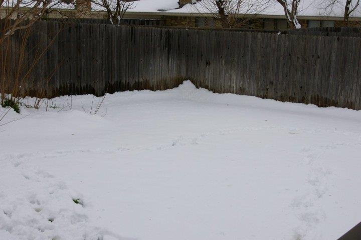 Scott McIntyre's album, Timeline Photos