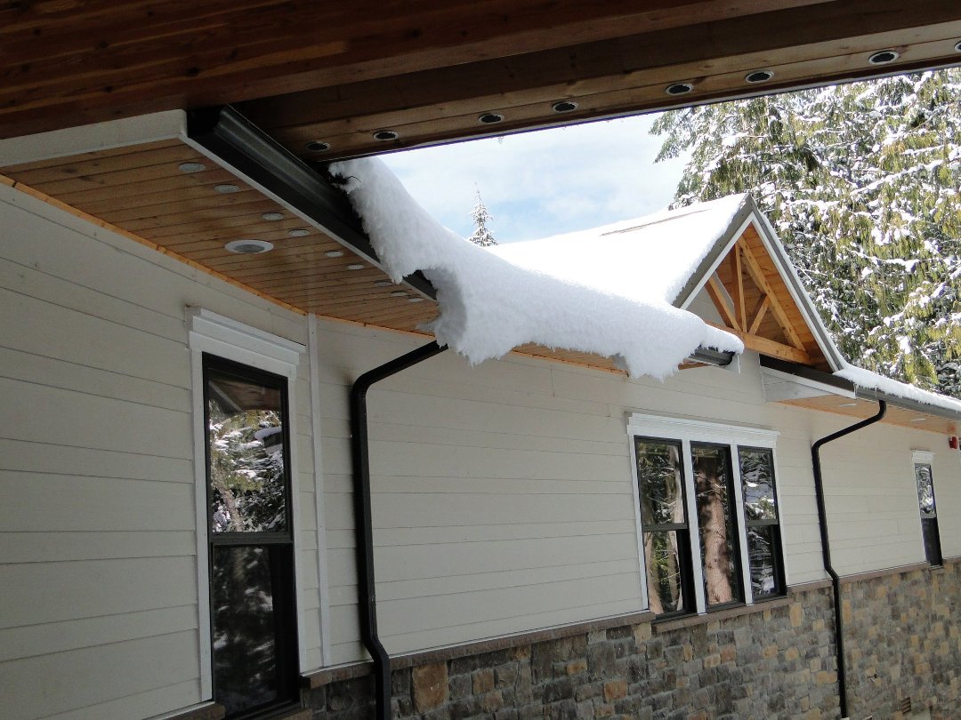 Coralee Green's album, Snow 2/2011