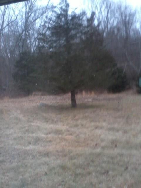 Barbara Poole's album, Blizzard February 2013