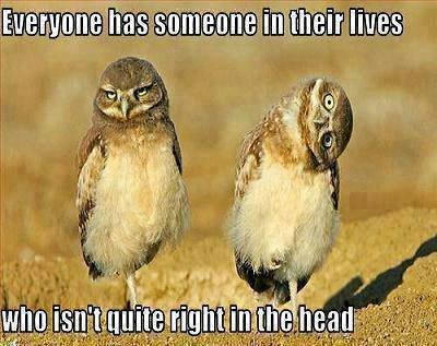 ROBERT BECK's album, Timeline Photos