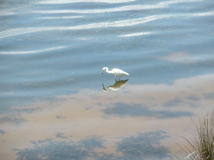 Elizabeth Twitchell's album, Outer Banks Vacation
