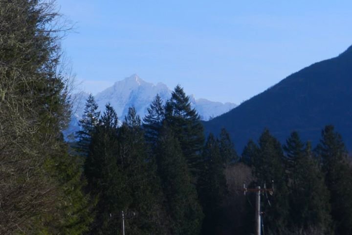 Vance McDill's album, Eagle watching on the Sauk River, North Cascades
