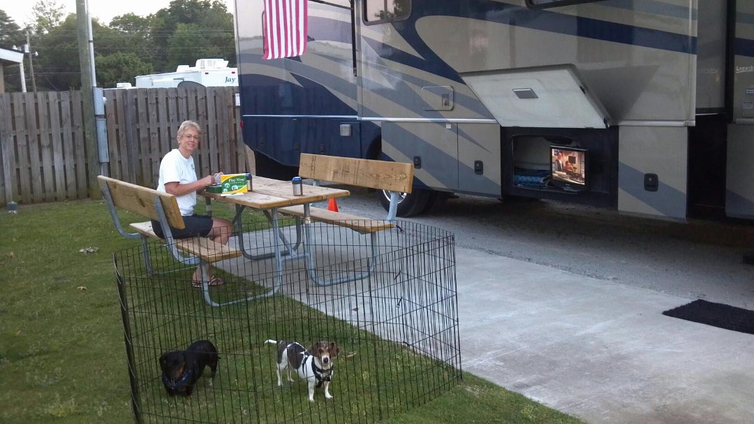 Kathy Wilder's album, Mobile Uploads