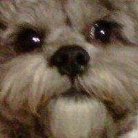 Ray Kline's album, Profile Pictures