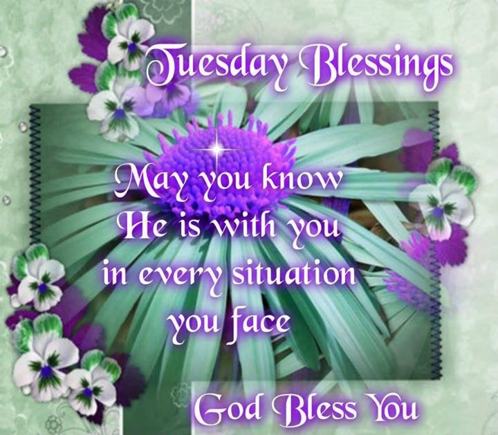Myrtle Brooks' album, Timeline Photos