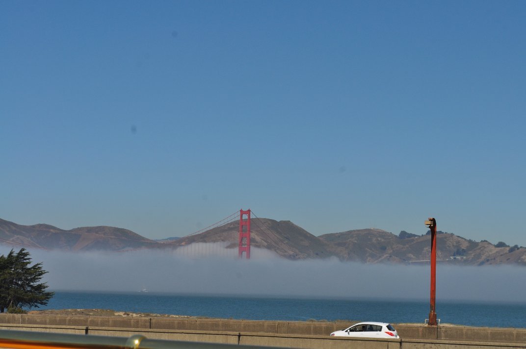 Donna Rutherford's album, San Francisco 2010