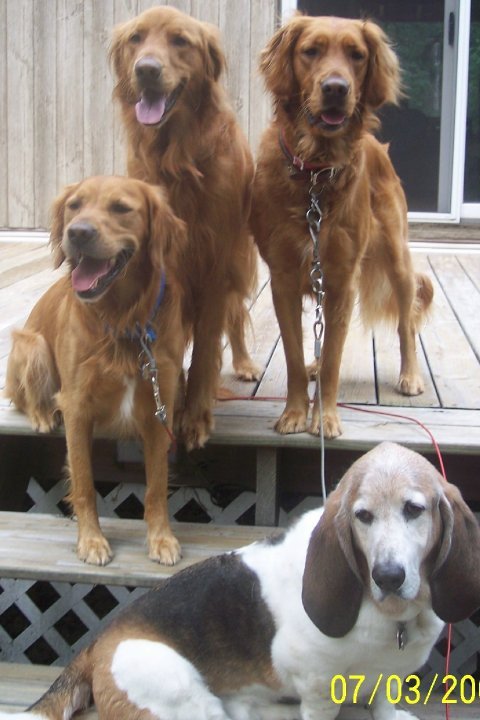 Janet Lampton's album, family