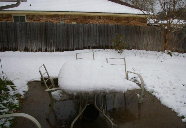 Scott McIntyre's album, Timeline Photos