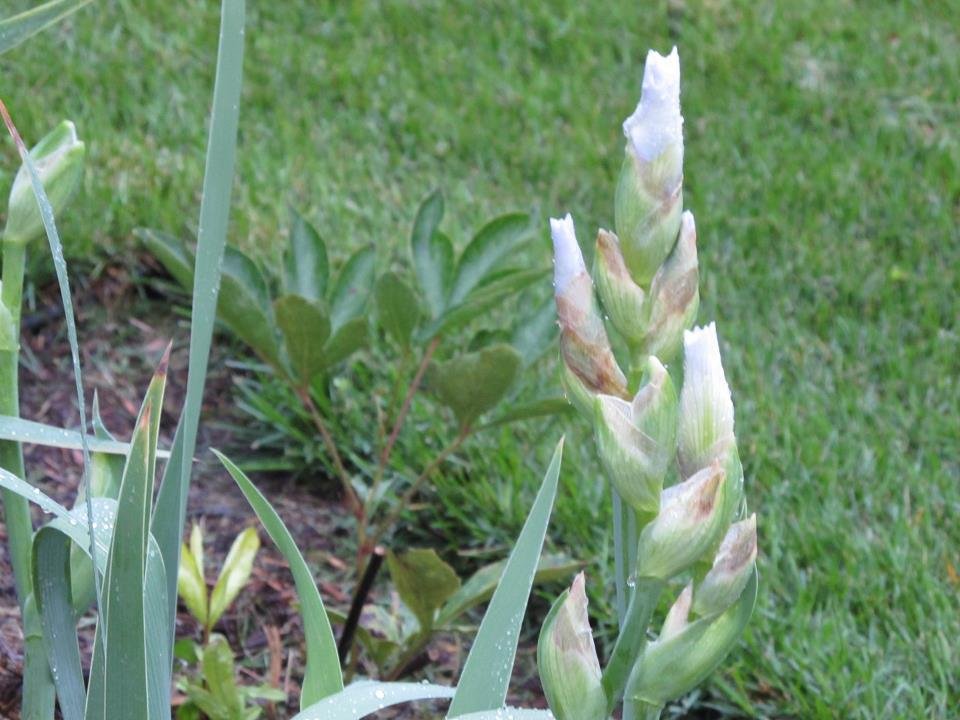 kathy patton's album, September 1, 2011