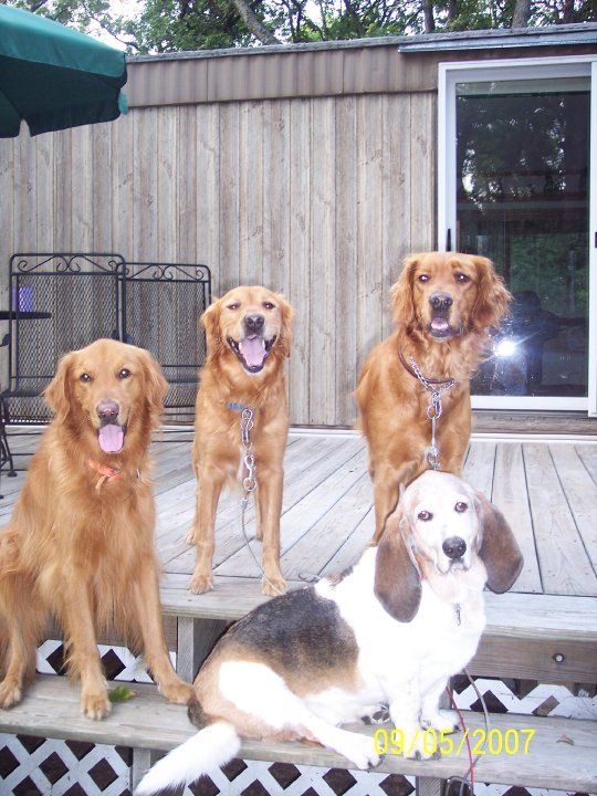 Janet Lampton's album, family