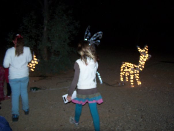 Diane Willsey (aka Riggs)'s album, Christmas 2009