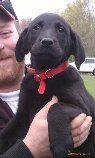 Benjamin Aaron's album, Timeline Photos