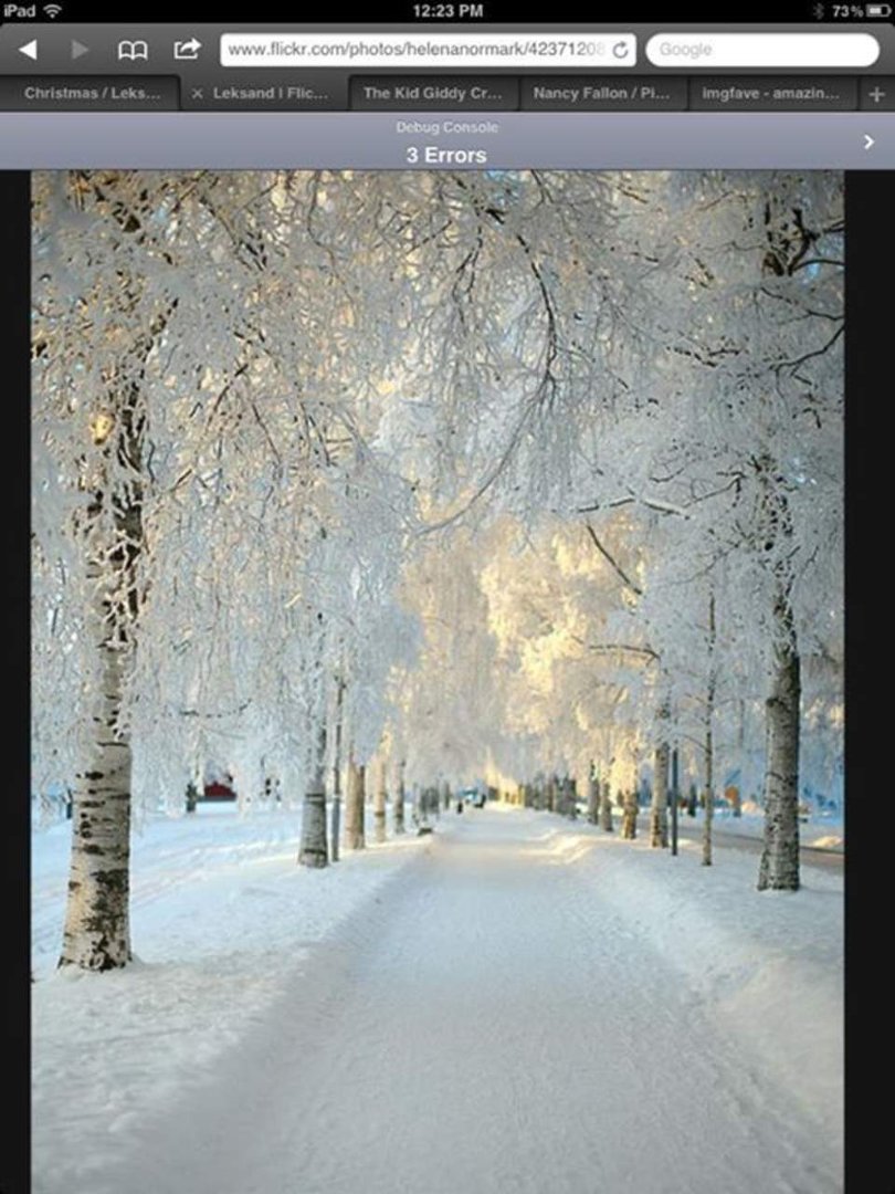 Nancy Fallon's album, Mobile Uploads