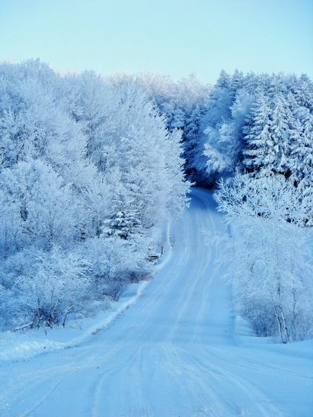 Kathryn Pfendler's album, Snow Day