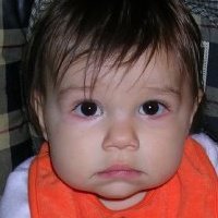 Ann Quick's album, Profile Pictures