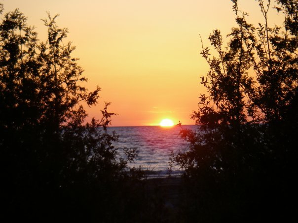 Janice Smith's album, Cover Photos