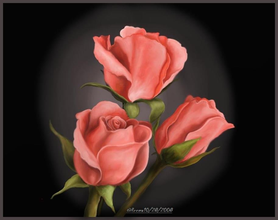 Pat Schaefer's album, Timeline Photos