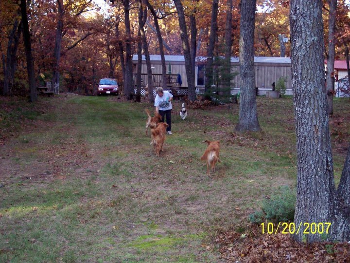 Janet Lampton's album, family
