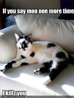 Tracy Hagberg's album, Timeline Photos