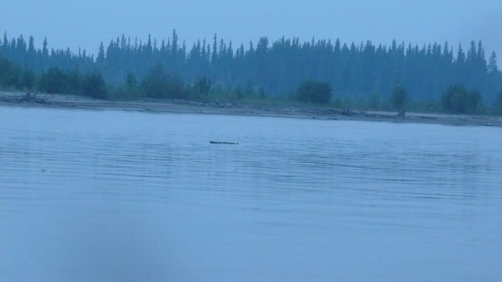 Robert Thomas' album, June 8, 2011 Tanana at Airport