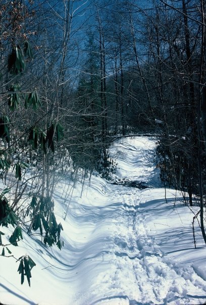 Bruce Cox's album, ECP2
