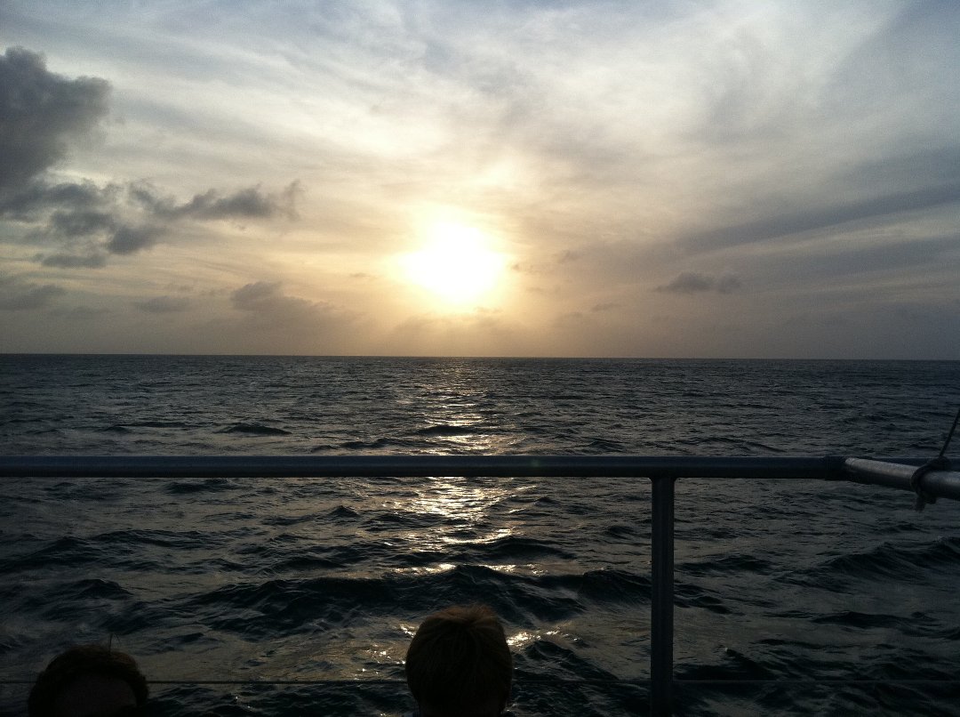 Michael Mann's album, Aruba