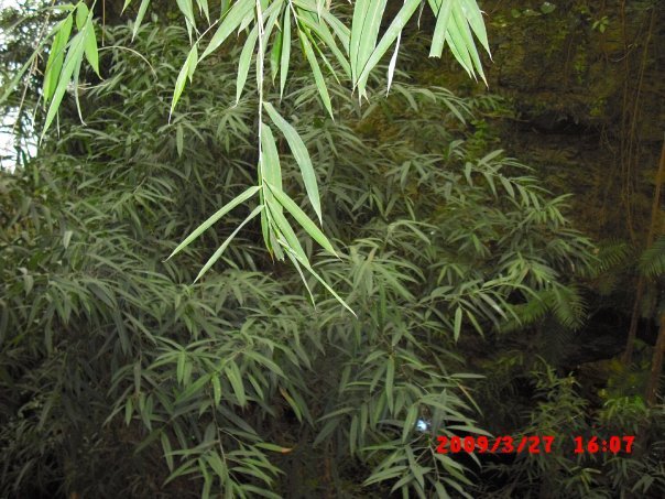 Terry Waters' album, Dallas World Aquarium