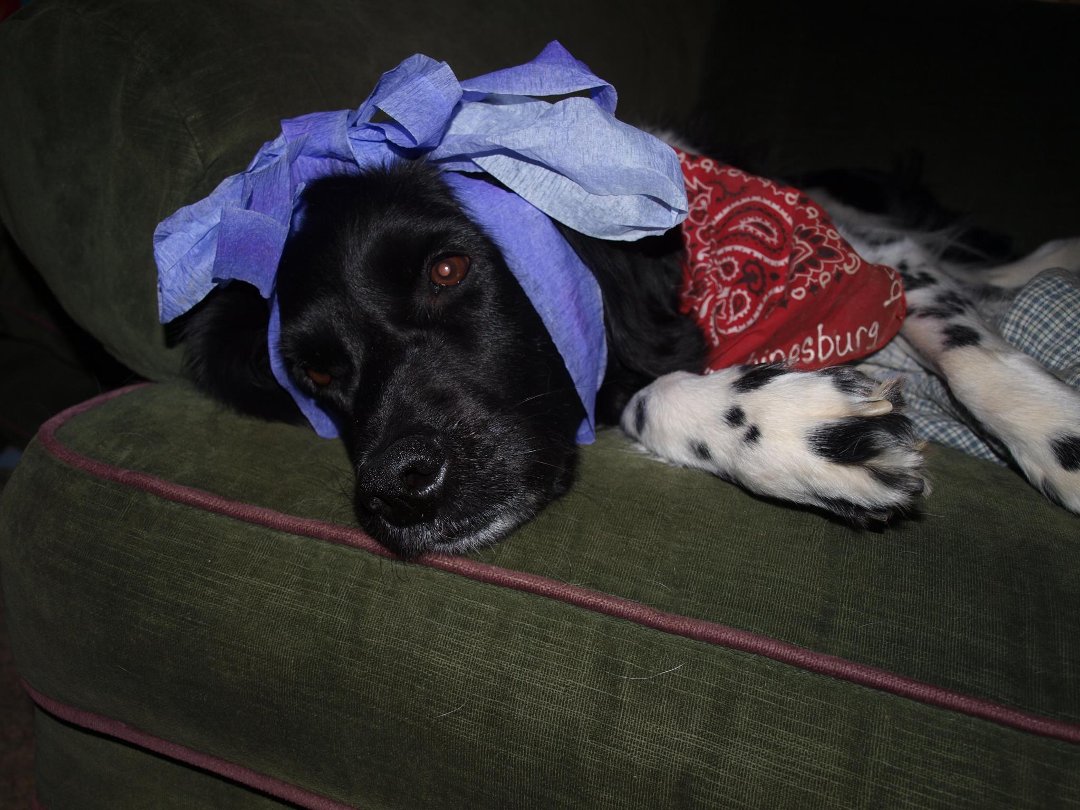 Sandy Steingard's album, Cover Photos