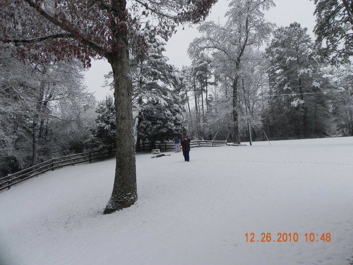 Ellen Phillips' album, Christmas 2010