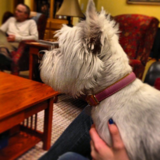 Dave Shafer's album, Instagram Photos