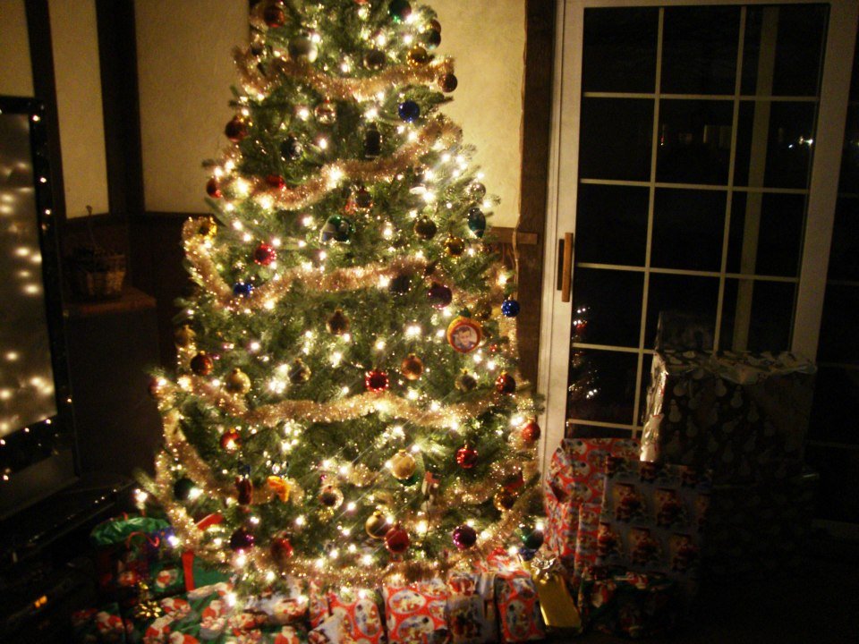 Brian Brown's album, Christmas 2012