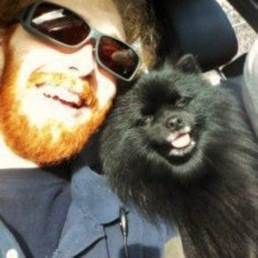 Wayne Barbash's album, Profile Pictures