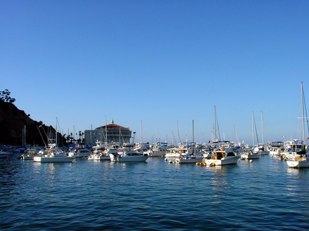 Robert Scheu's album, Cover Photos
