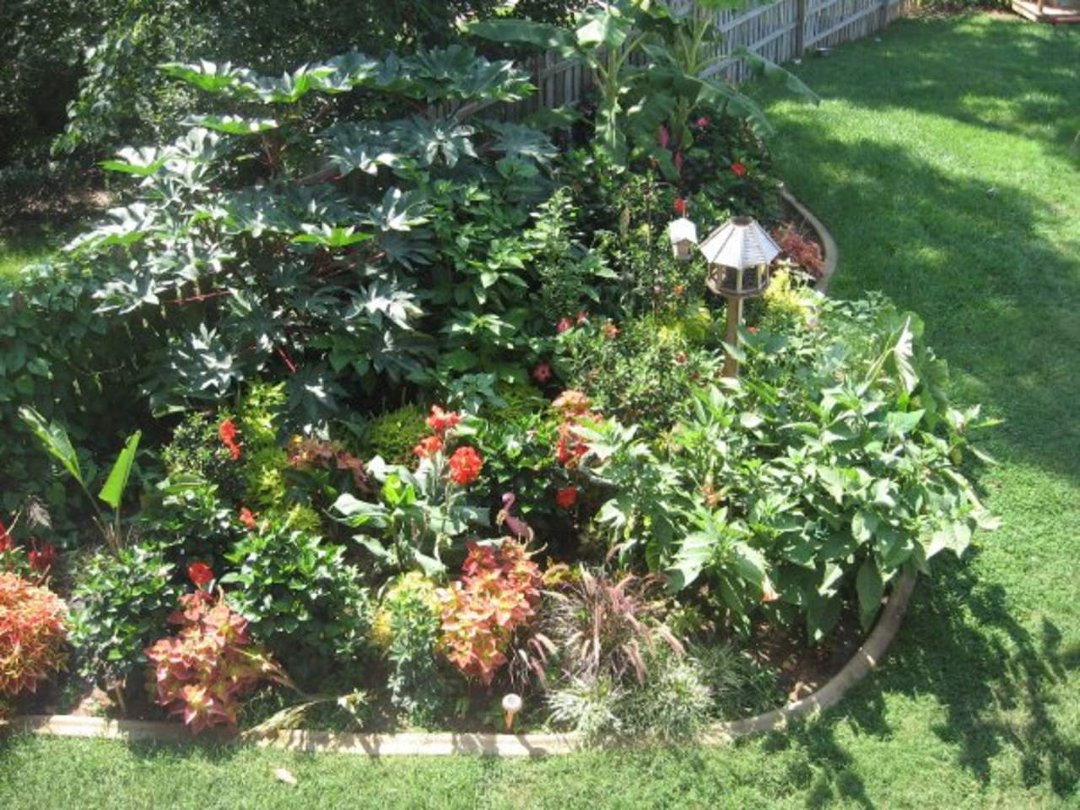 Sharon Moore's album, Missing My Garden