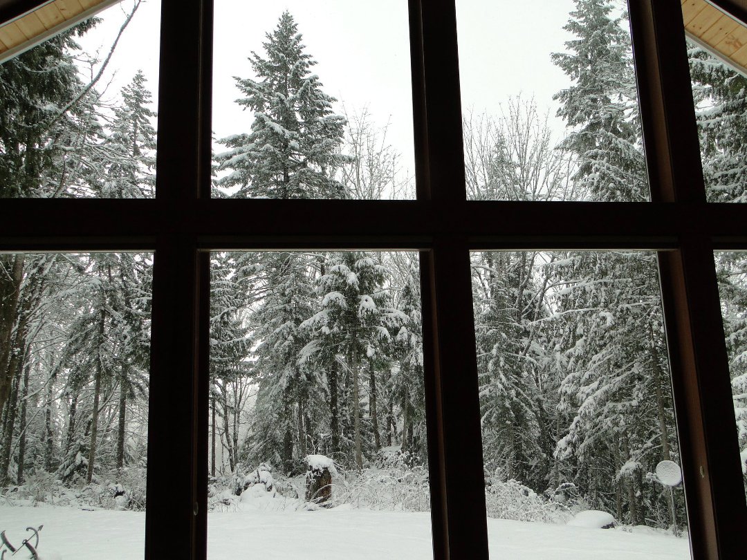 Coralee Green's album, Snow 2/2011