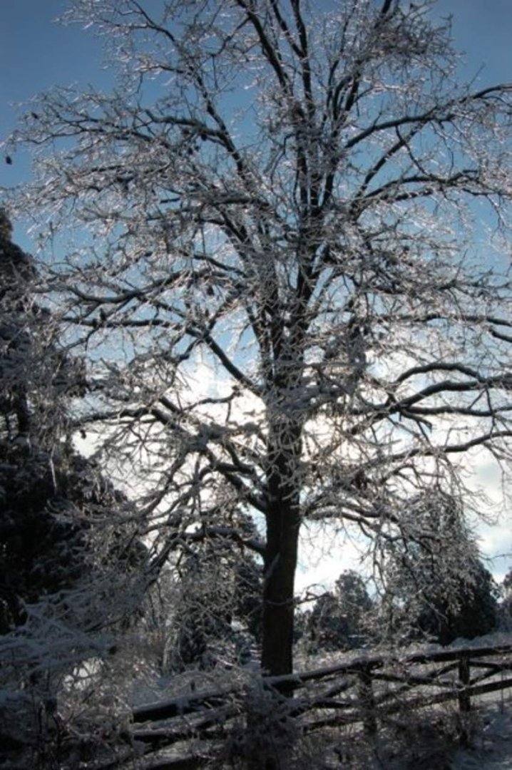 Mike Prather's album, Kentucky Ice Storm 2009