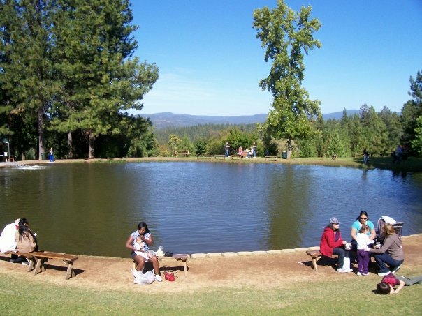 Colleen Wilson's album, apple hill