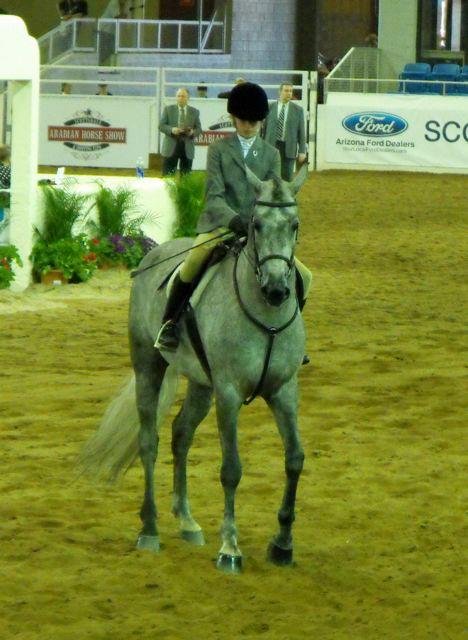Janice Andersen's album, Arabian Horse Show 2013