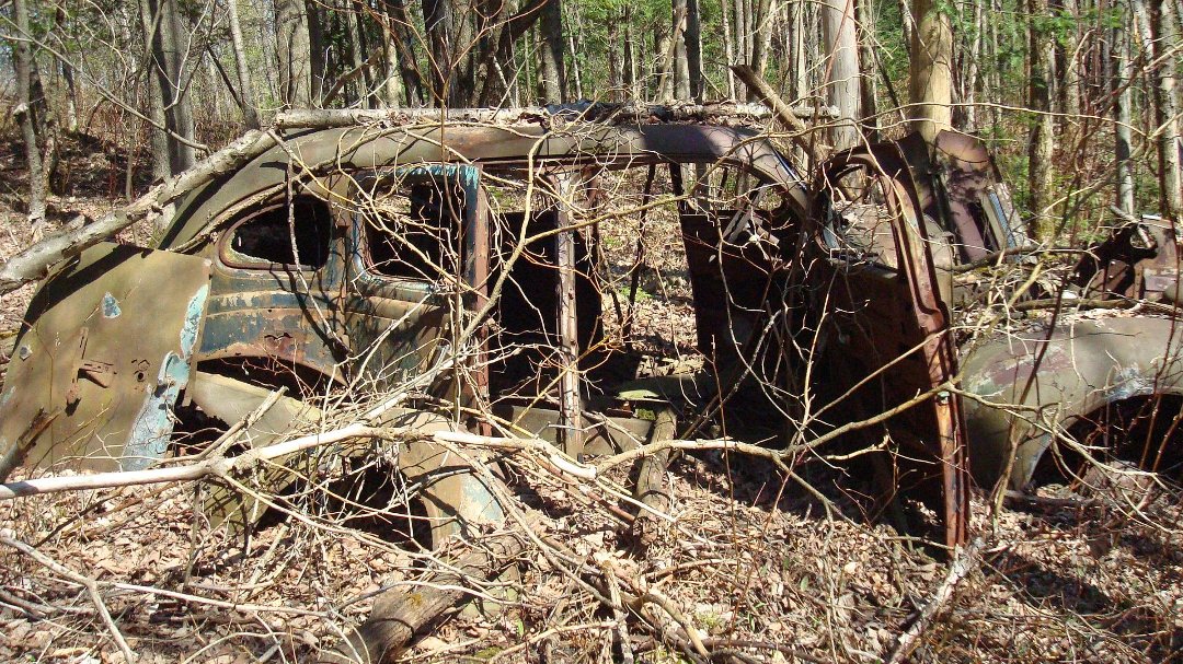 Chris Cunningham's album, 'Rustic' Scenes on a Recent Hike